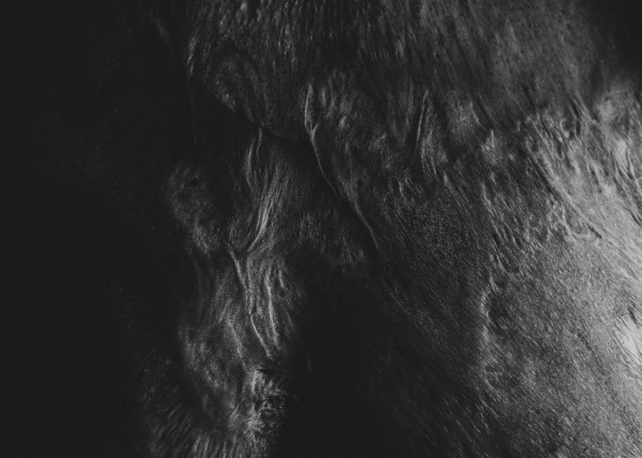 Ästhetik der Unvollkommenheit · Nachhall, Fotografie